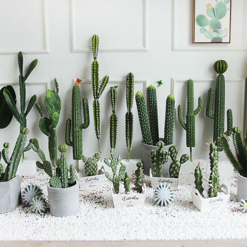 Realistic artificial cactus