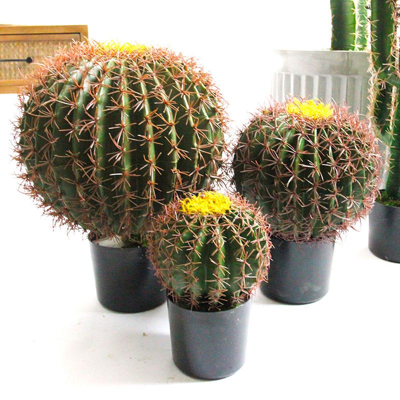 artificial outdoor cactus
