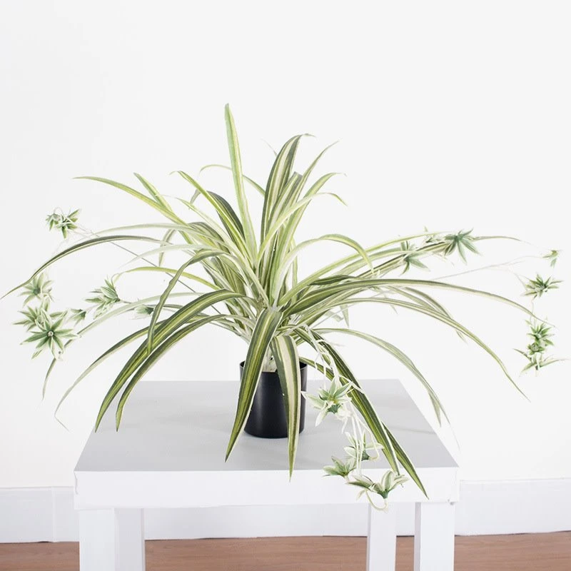 Chlorophytum Buatan