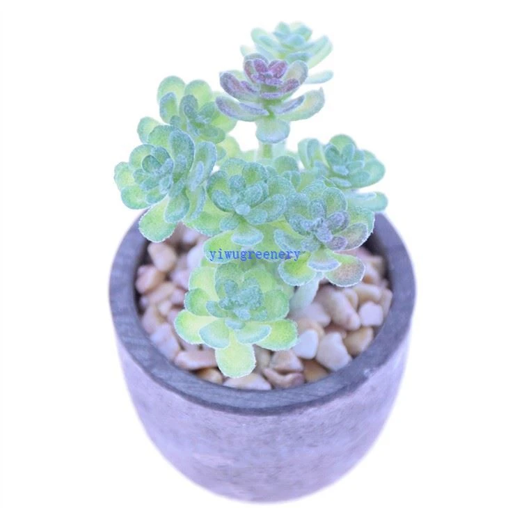 artificial succulents bonsai group table