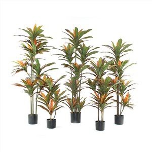 Cordyline Fruticosa Buatan