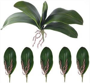 Daun Anggrek Buatan