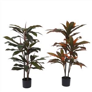Dracaena Bermata Merah Buatan